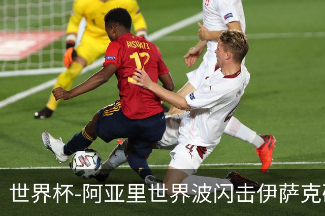 世界杯-阿亚里世界波闪击伊萨克破门 半场瑞典2-1突尼斯