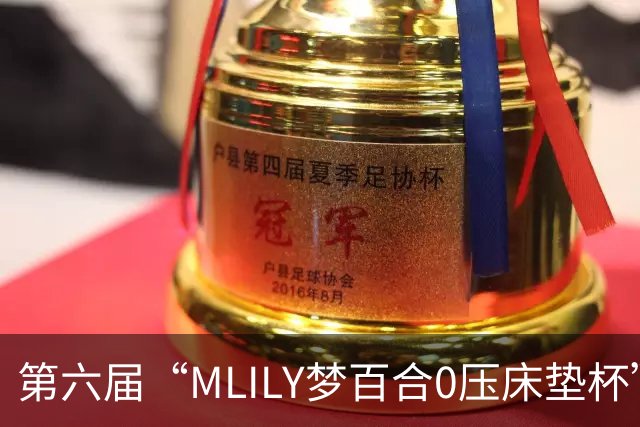 第六届“MLILY梦百合0压床垫杯”世界围棋公开赛国际预选赛5月8日如皋开战